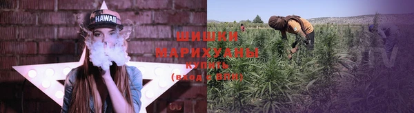 трава Елизово