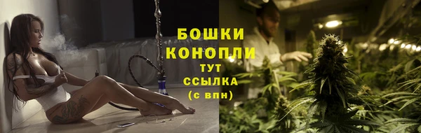 PSILOCYBIN Баксан