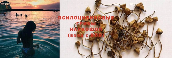 гидропоника Балахна