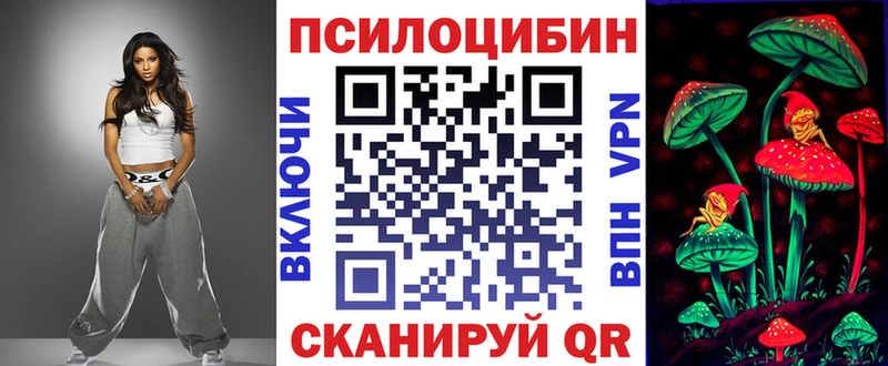darknet какой сайт  Курлово  Псилоцибиновые грибы GOLDEN TEACHER  omg ТОР 